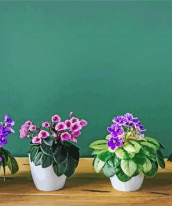 African Violets Diamond Paintings