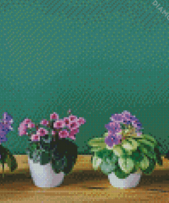 African Violets Diamond Paintings