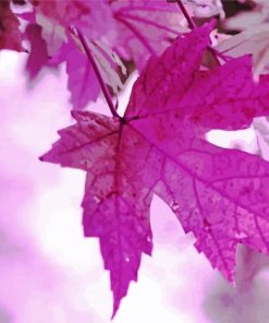 Autumn Purple Leaf Diamond Paintings