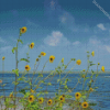 Aesthetic Sunflowers In Beach Diamond Paintings