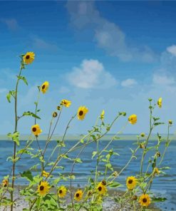 Aesthetic Sunflowers In Beach Diamond Paintings