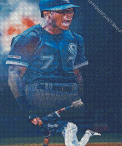 Chicago White Sox Player Diamond Paintings