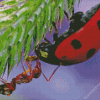 Close Up Ant And Ladybug Diamond Paintings