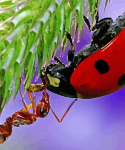 Close Up Ant And Ladybug Diamond Paintings