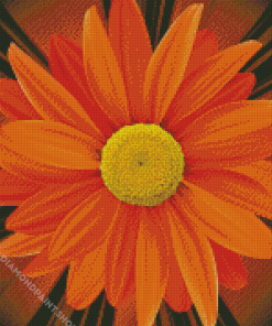 Close Up Orange Flower Diamond Paintings