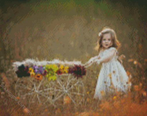 Girl With Flower Cart Diamond Paintings