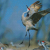 Cute Sandhill Crane Diamond By Paintings