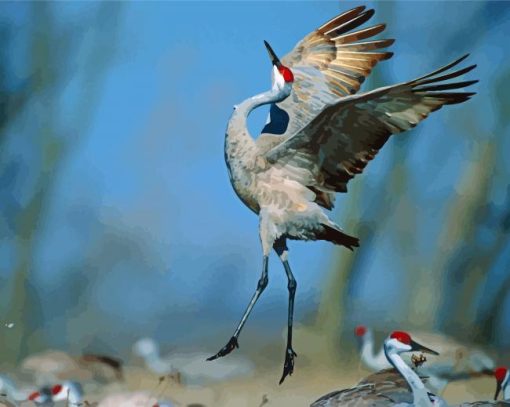 Cute Sandhill Crane Diamond By Paintings