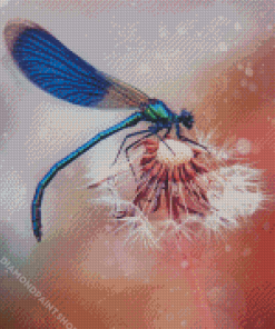 Dragonfly And Dandelion Diamond Paintings