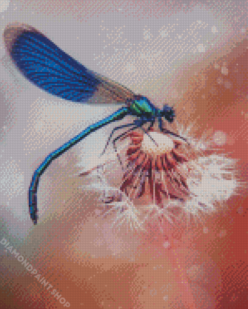 Dragonfly And Dandelion Diamond Paintings