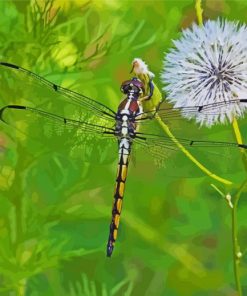 Cute Dragonfly And Dandelion Diamond Paintings