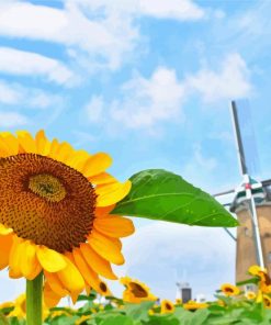 Dutch Windmill And Sunflower Diamond Paintings