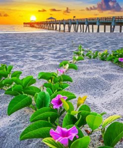 Flowers On Beach Diamond Paintings