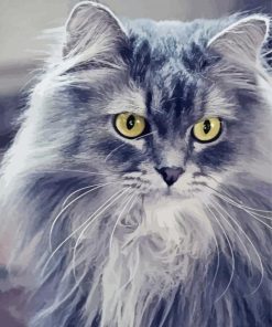 Fluffy Grey Cat Diamond Paintings