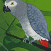 Grey Parrot Diamond Paintings