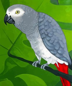 Grey Parrot Diamond Paintings