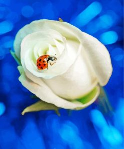 Ladybug On White Rose Diamond Paintings