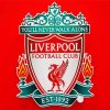 Liverpool Fc Crest Diamond Paintings