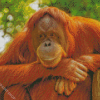 Orangutans Animal Diamond Paintings