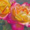 Peace Roses Diamond Paintings