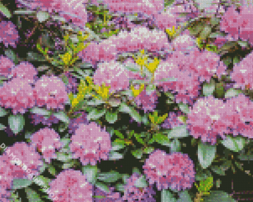 Purple Rhododendron Diamond Paintings