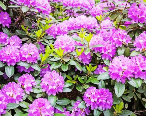 Purple Rhododendron Diamond Paintings