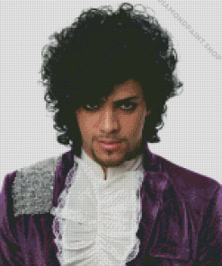 Purple Rain Character Diamond Paintings