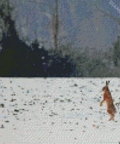 Rabbit Dancing In Snow Diamond Paintings