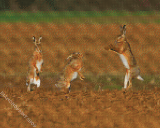 Rabbits Dancing Diamond Paintings