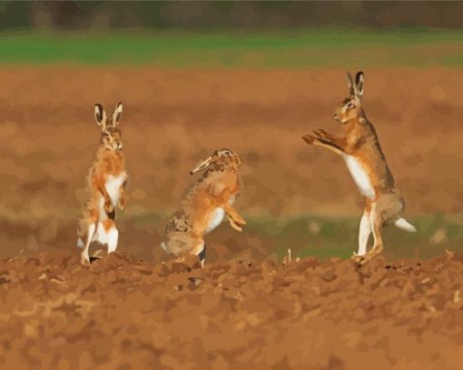 Rabbits Dancing Diamond Paintings