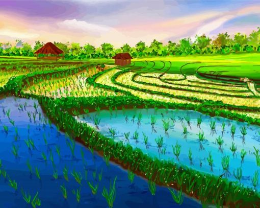 Rice Field Diamond Paintings