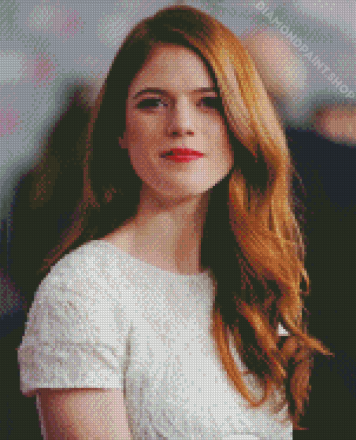 Pretty Rose Leslie Diamond Paintings