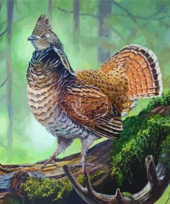 Ruffed Grouse Bird Diamond Paintings