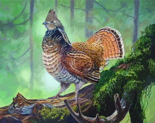 Ruffed Grouse Bird Diamond Paintings