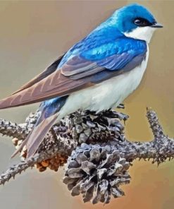 Swallow Bird Diamond Paintings