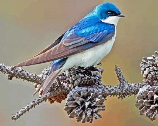 Swallow Bird Diamond Paintings