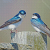 Adorable Swallow Birds Diamond Paintings