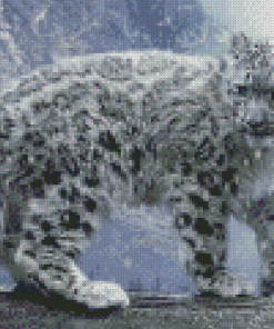 The Snow Leopard Diamond Paintings