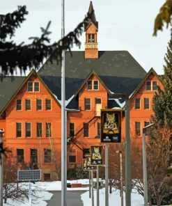 Montana State University Diamond Paintings