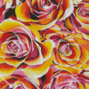 Yellow And Pink Roses Diamond Paintings