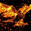 Artistic Burning Eagle Diamond Paintings