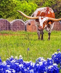 Longhorn In Bluebonnets Diamond Paintings