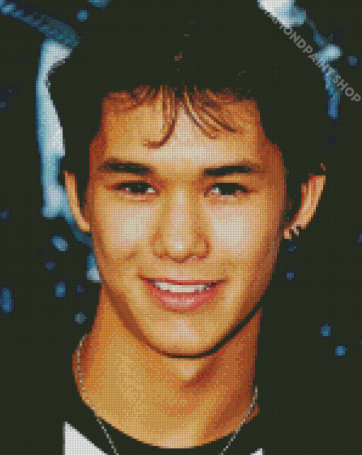 Booboo Stewart Actor Diamond Paintings