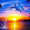 Dolphins At Sunset Diamond Paintings