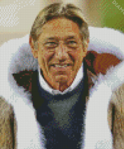 Aesthetic Joe Namath Diamond Paintings