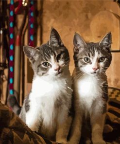 Adorable Two Kitties Diamond Paintings