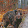 Aesthetic Wild Boar Diamond Paintings