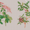 Botanical Plants Diamond Paintings