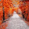 Walk In Autumn Diamond Paintings