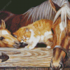 Adorable Cat And Horse Diamond Paintings